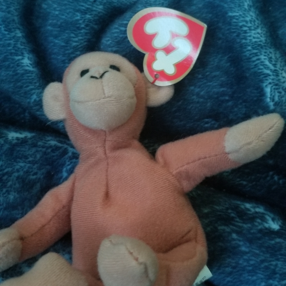 Bongo teenie beanie baby
